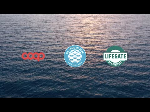 Anteprima video