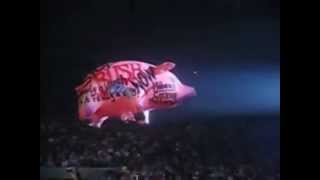 Pink Floyd - Pigs on the Wing Live Part 2 - 1977