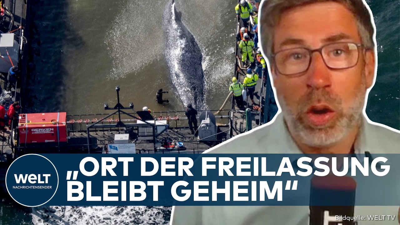 TIMMY: Dramatische Rettung geht in die Endphase! Hilfsteam hält Ort der Freilassung streng geheim!