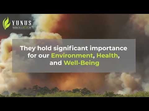 International Day of Clean Air for Blue Skies>