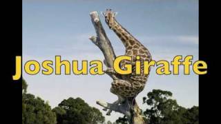 Joshua Giraffe Music Video