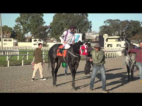 220805 c02 APOLLYON (BRZ)