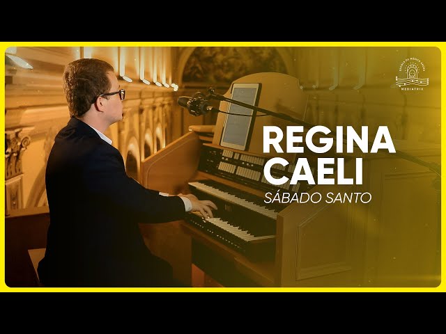 Preview do vídeo