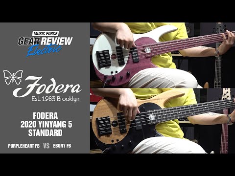 Fodera 2020 Yin Yang 5 Standard Purpleheart FB VS Ebony FB Review (No Talking)
