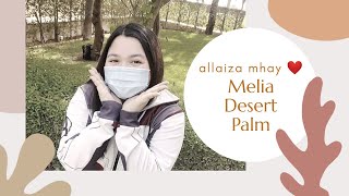 Dubai | Melia Desert Palm | Travel Vlog ❤