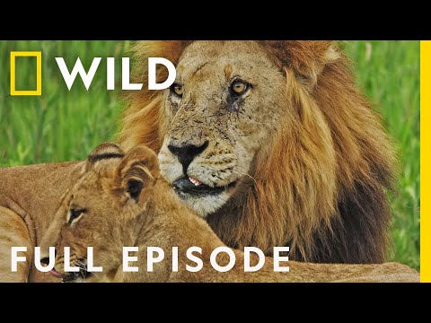 War Games (Full Episode) | Savage Kingdom