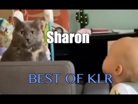 Funniest Animal Voiceovers - Ep. 6