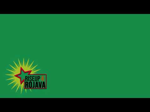 Zerreißprobe - Antifa enternasyonal