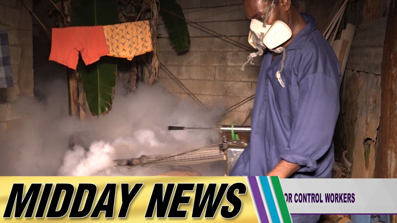 Cllrs. Raise Concern Over Reduced Overtime Hours for Vector Control Workers | Midday News