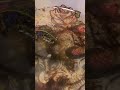 Baby Pixie Frog Crushes Cricket Warning Live Feeding
