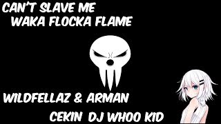 Waka Flocka Flame, DJ Whoo Kid, Wildfellaz & Arman Cekin (Sub español) - Can't Slave Me