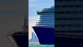 Carnival Celebration 🛳️ #share #like #subscribe #comment #cruise #vacation #shortvideo #shortsvideo