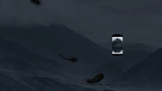 Air New Zealand: Bring on Winter