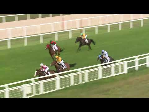 2018.06.02. 7. futam - VILLÁM DÍJ (I.kat.)