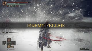 [ELDEN RING] vs.死儀礼の鳥