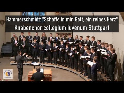 Hammerschmidt: "Schaffe in mir, Gott, ein reines Herz" |  Knabenchor collegium iuvenum Stuttgart