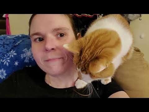 Can't Eat Popcorn in Peace || ViralHog