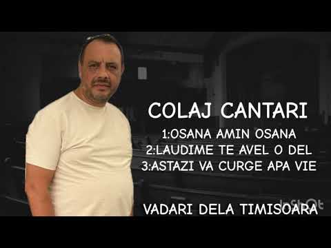 Vadari de la Timișoara - Colaj  Osana amin Osana Laudime te avel o del Astăzi va curge apă vie
