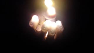 &quot;Lose Myself&quot; - Seven Lions