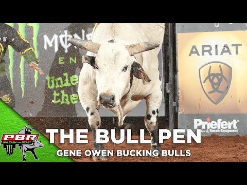 Gene Owen's Bulls Were RANK at the Las Vegas Invitational | 2020