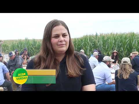 Este jueves a las 15,30, en la zona de Luque, Córdoba,  Jornada a Campo sobre Maíz
