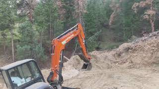 Day 125 - Beetle Kill Log Cleanup