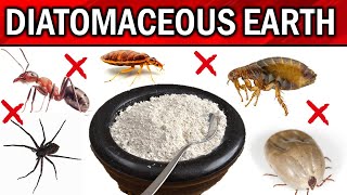 How to Use Diatomaceous Earth for Pest Control - FLEAS, TICKS, BEDBUGS, COCKROACHES, DOGS & CATS...