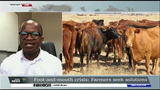 Foot & Mouth Disease Indaba | Farmers seek solutions: Wandile Sihlobo weighs in