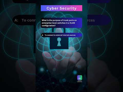 44 Become a MASTER of Cyber Security in 2024