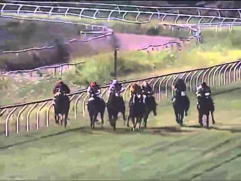 Galoppo 26/07/2014 - Corsa 3