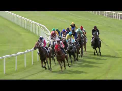 2022.05.08. 06. futam - TIPPMIX - HAZAFI DÍJ (HUN Gd-3)