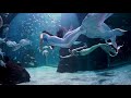 🧜‍♀️🧜‍♀️🧜‍♀️ Mermaids at Jakarta Aquarium & Safari 🧜‍♀️🧜‍♀️🧜‍♀️