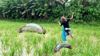 Download lagu Unbelievable Best Fishing Trap || Taditional Fishing With Tata In Beautiful Natural Place.(Part-02) mp3