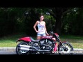 New 2013 Harley-Davidson VRSCDX Night Rod ...