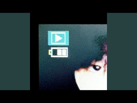 Video thumbnail for swallowtail