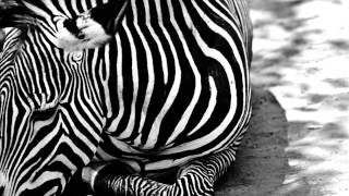 Moloko Vs. Jojo Flores - Sing It Back (Jamsteady Goes Brazil Remix)