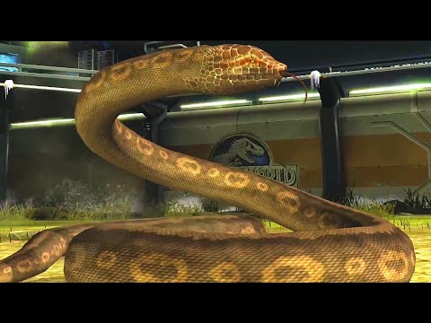 THYLACOSMILUS VS PROCOPTODON IN JW | Jurassic World The Game - Cenozoic battle gameplay -2