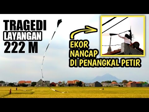 viral-main-layangan-terpanjang-222-meter-awalnya-bikin-hepi-endingnya-jadi-tr4g3d1-evlog-111