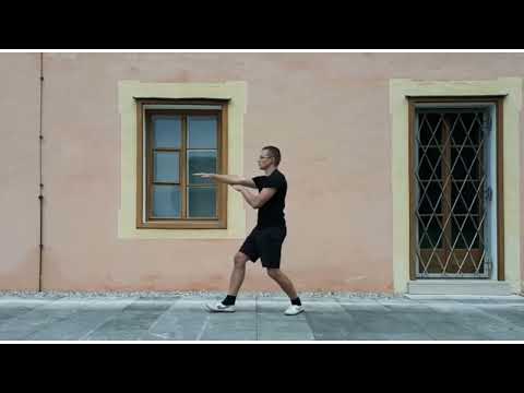 Wing Tsun Solo Coaching in Salzburg & Hallein