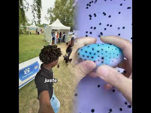 J’ai passé ma meilleure journée 🐶 Merci Pet Nutrition les Canidays sont passés,