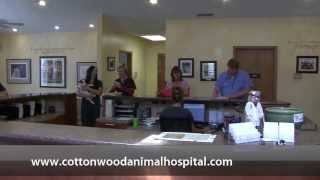 preview picture of video 'Cottonwood Animal Hospital - Short | Salt Lake City'