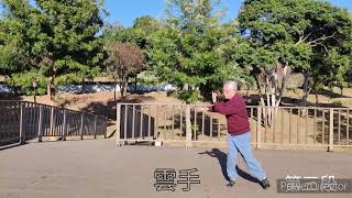 2023年3月6日陳泮嶺九九式太極拳第三段