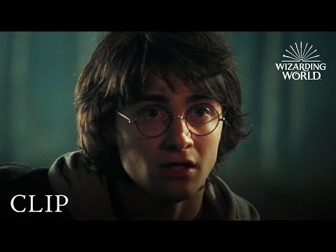 Hagrid Takes Harry to See the Dragons
