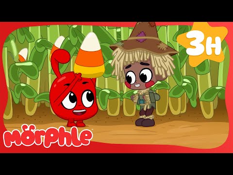 The Great Halloween The Corn Maze Caper! 🎃🌽  | Morphle's Family | Preschool Cartoons