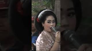 Download lagu kembang kopi #dangdutkoplo #tayubtuban #kesenianjawa #zusintabaru #agungbudoyo mp3