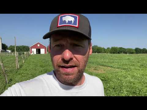 Buying a 1/4 Cow for Beef - Is it Worth It?? Let's Go...