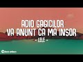 Lele - Adio gagicilor ❌ Va anunt ca ma insor 💍(Versuri) Special Guest: @andravolos6726 Lele - Adio gagicilor ❌ Va anunt ca ma insor 💍(Versuri) Special Guest: @andravolos6726