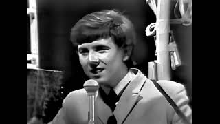 The Hollies   Yes I Will
