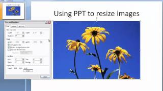 How to crop and resize an image using PowerPoint.