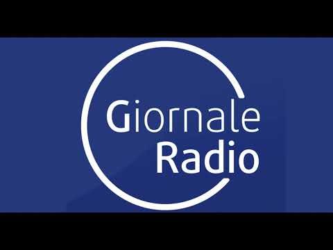 GIORNALE RADIO - Pac e richieste Cia. Con il presidente Fini verso la manifestazione a Bruxelles